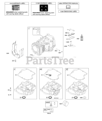 Briggs & Stratton 219807-0113-E1 - Briggs & Stratton Vertical Engine Cylinder, Engine Sump, Lubrication, Operator's Manual, Warning Label