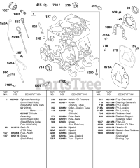 Briggs & Stratton 433447-0116-E2 - Briggs & Stratton Horizontal Engine Cylinder, Oil Filter, Back Plates, Dipsticks