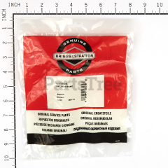 Simplicity 691302 Intake Valve - image 4