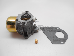Simplicity 494881 Use 495784: Carburetor Kit - image 1