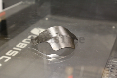 Echo C557000430 Shield Guard