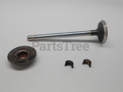Simplicity 499596 Exhaust Valve - image 1
