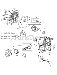 Troy-Bilt 170-VU - Troy-Bilt Engine 170-VU Crankshaft &amp; Crankcase