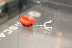 Echo A033000250 Cap Assembly - image 1