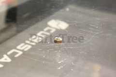 Echo 90050000008 Nut, M8 X 1.25 - image 2