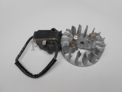 RedMax 530039232 Module And Flywheel Kit - image 1