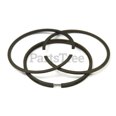 Snapper 391669 Use 499921: Ring  Piston Kit - image 3