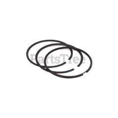Briggs & Stratton 499631 Ring Set, Standard - image 3