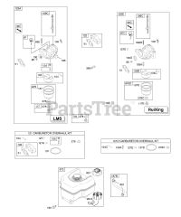 Briggs & Stratton 15Z314-0112-E1 - Briggs & Stratton Horizontal Engine Carburetor, Fuel Supply