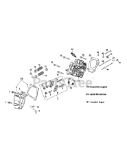 Troy-Bilt 170-LU - Troy-Bilt Engine 170-LU Cylinder Head