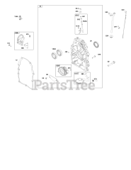 Briggs & Stratton 305447-0150-B5 - Briggs & Stratton Horizontal Engine