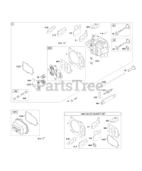 Briggs & Stratton 12E602-0136-E1 - Briggs & Stratton Vertical Engine