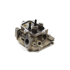 Simplicity 699486 Cylinder Head - image 1