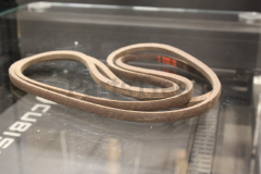 Snapper 7101749 Use 7101749ma: Belt  V  Motion Drive - image 1