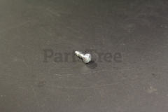 Echo 24196-71310 Screw