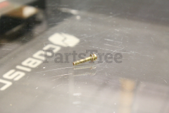 Echo 9157405030 Screw, Pm - image 2
