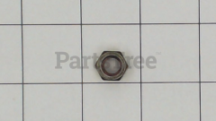 Briggs & Stratton 22259GS Nut - image 1