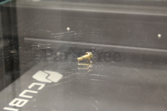 Simplicity 1612261 Hex Flange Head Capscrew, 1/4-20 X 3/4 G5 - image 1