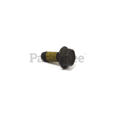 Briggs & Stratton 699479 Screw - image 2