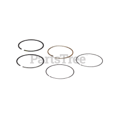 Briggs & Stratton 795431 Ring Set - image 3