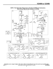 Briggs & Stratton 123437-0170-E1 - Briggs & Stratton Horizontal Engine Carburetor Group, Kits/Gasket-Carburetor