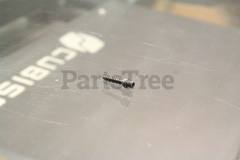 Echo V203001380 Limiter Bolt - image 2