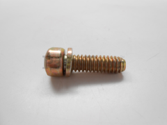 Tecumseh 6003 Screw - image 1