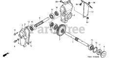 Honda HS828 K1 TAS/C (SZAK) - Honda 28" Snow Blower, Made in Japan (SN: SZAK-2120001 - SZAK-9999999) AUGER TRANSMISSION