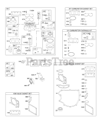 Briggs & Stratton 407677-0232-E1 - Briggs & Stratton Vertical Engine Carburetor, Kit/Gasket Sets