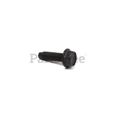 Snapper 555629 Use 794451: Screw - image 1