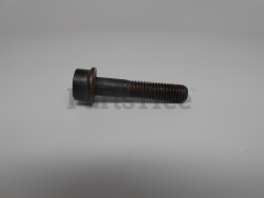 RedMax 503200325 Screw