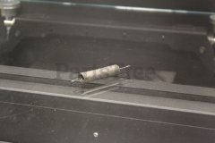 Exmark 109-7692 Extension Spring - image 2