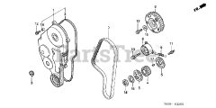 Honda H5518 NA2/D (TZAC) - Honda Multi-Purpose Tractor, Made in Japan (SN: TZAC-3500001 - TZAC-3599999) TIMING BELT