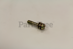 Echo V254000030 Screw, Pm Slpw