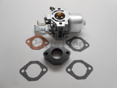Snapper 715443 Use 715668: Carburetor - image 1