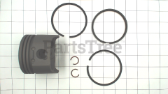 Snapper 299567 Use 499909: Piston/Ring Kit - image 1