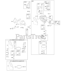 Briggs & Stratton 195702-0134-01 - Briggs & Stratton Vertical Engine
