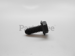 RedMax 817060410 Self-Tapping Hex Head Screw, 1/4-20 X 3/4 - image 1