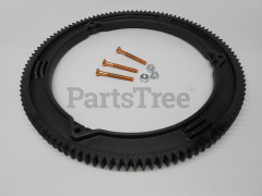 Briggs & Stratton 499612 Gear Ring - image 4