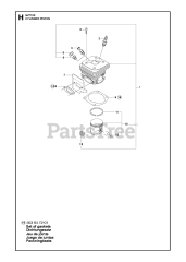 RedMax GZ 7100 - RedMax Chainsaw (2017-10) CYLINDER PISTON