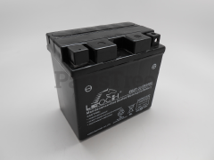 RedMax 532436551 Battery, 6a 12v Leoch