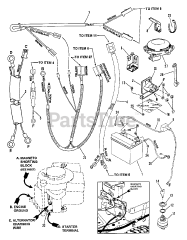 Snapper 250815B (80022) - Snapper 25