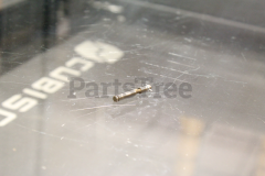 Echo P022010680 Adjust Screw Assembly