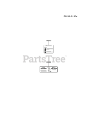 Kawasaki FJ180V-BS40 - Kawasaki Engine LABEL