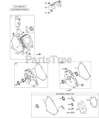 Briggs & Stratton 113432-0101-E1 - Briggs & Stratton Horizontal Engine Crankcase Cover/Sump, Cylinder, Kits/Gasket Sets - Engine