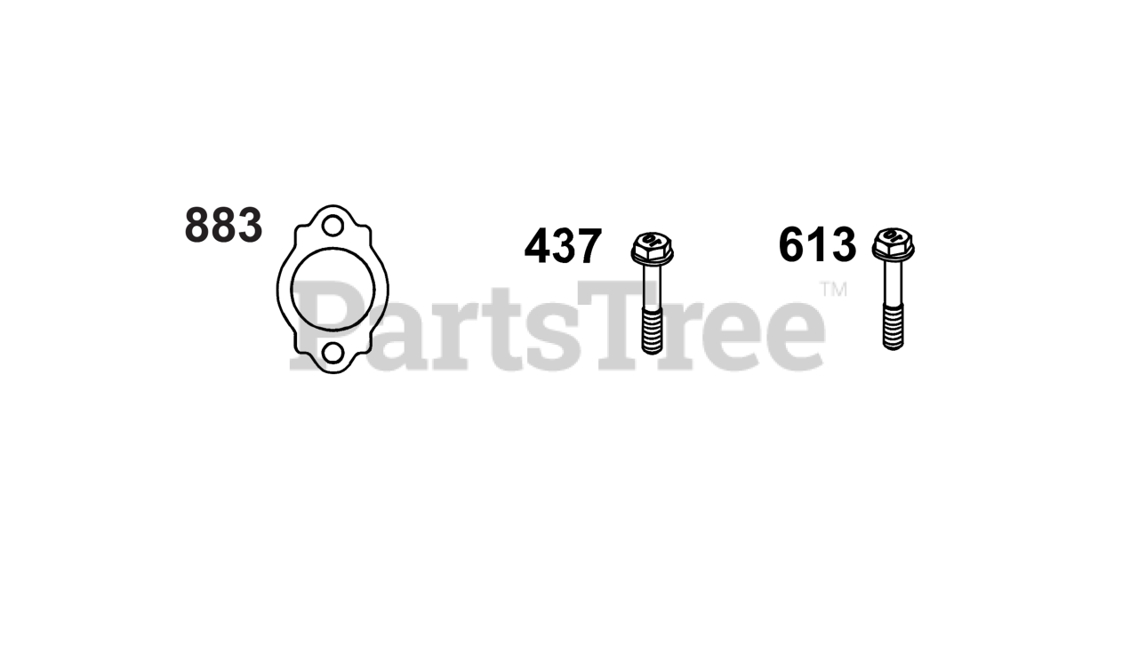 Briggs & Stratton 613477-0268