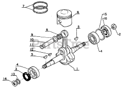 Echo CS-60 S - Echo Chainsaw (SN: 059501 - 999999)