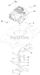 Lawn-Boy 10632 - Lawn-Boy 20" Walk-Behind Mower (SN: 313000001 - 313999999) (2013) Engine and Blade Assembly
