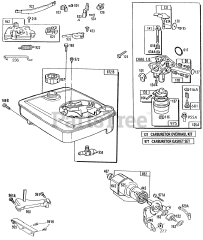 Briggs & Stratton 111707-3048-01 - Briggs & Stratton Vertical Engine Carburetor, Fuel Tank,Brake