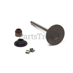 Simplicity 809902 Use 843730: Valve - Intake - image 3
